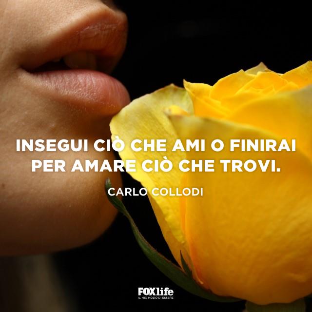 Frase insegui ciò che ami Bocca di ragazza vicino una rosa