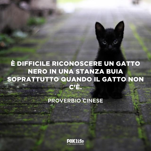 gratis nero incinta micio