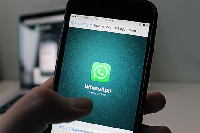 Svelate le novità del nuovo aggiornamento WhatsApp: tutto quello che c’è da sapere Uno smartphone con WhatsApp acceso.