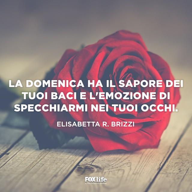 Frase Elisabetta R Brizzi Rosa rossa su legno