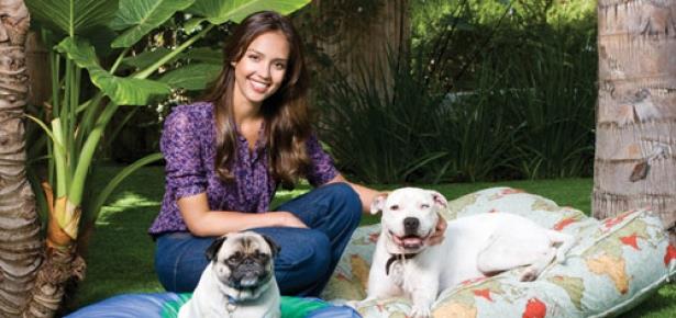 Jessica Alba con i suoi cani L'attrice Jessica Alba con i suoi amici a quattro zampe