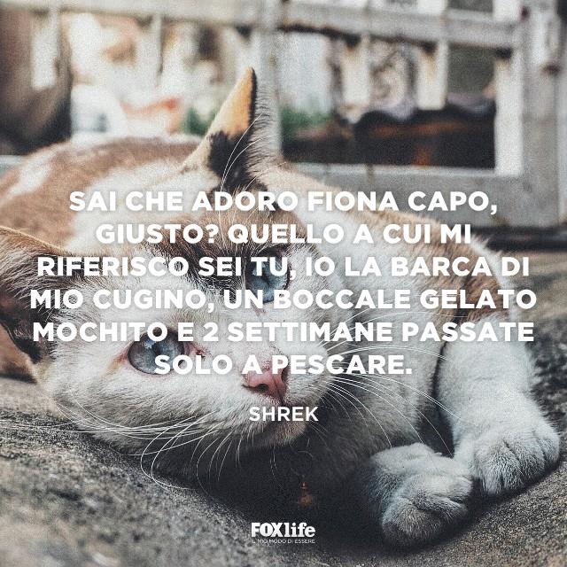 Citazione Shrek Micio sul letto rilassato