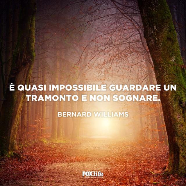 Citazione Williams Zona boschiva al tramonto