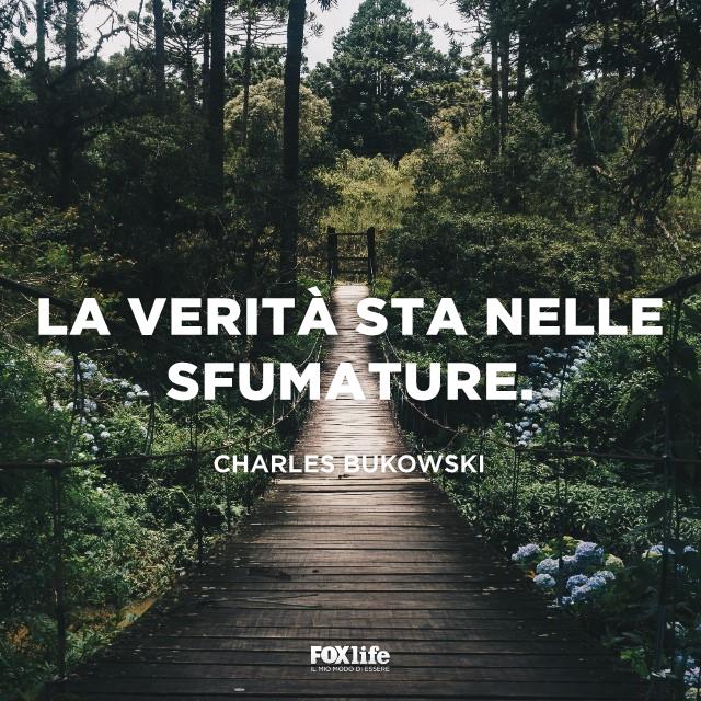 Frase sulla verità Ponte in mezzo a un bosco