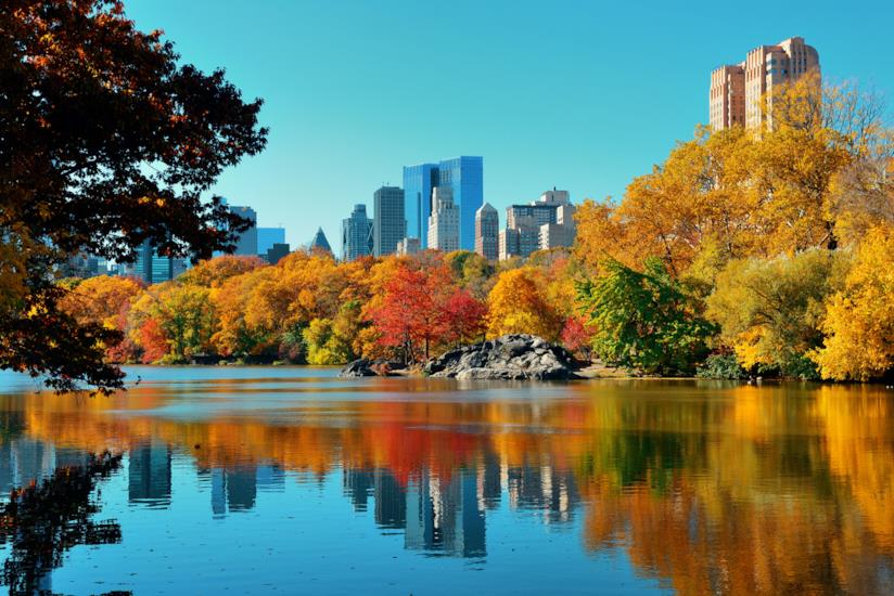 Autunno a New York: cosa fare in giro per la Grande Mela Autunno a New York, tra foliage e eventi imperdibili