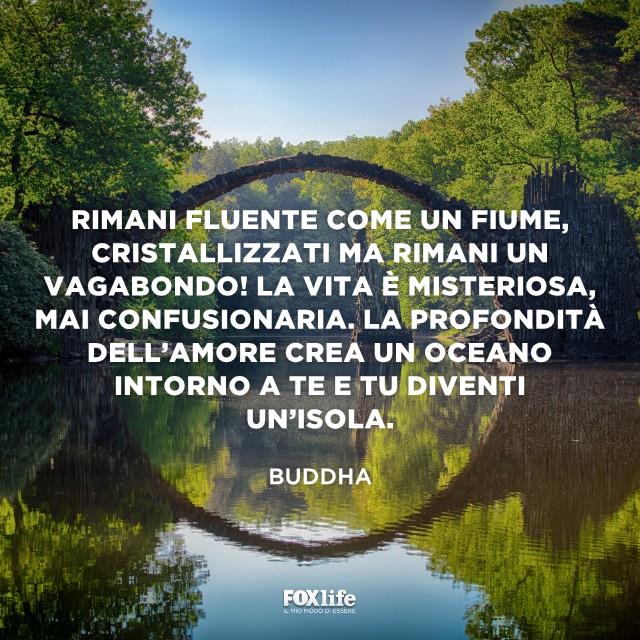 Rimani fluente come un fiume Lago in mezzo ad una foresta