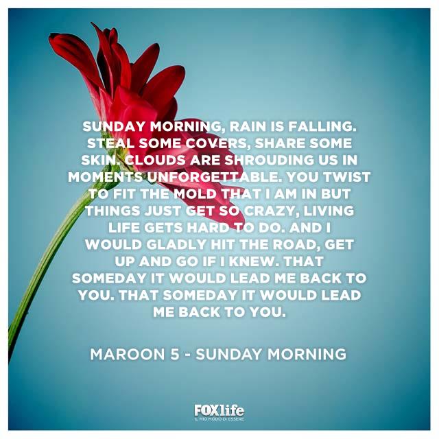 Citazione Maroon 5 Fiore in primo piano