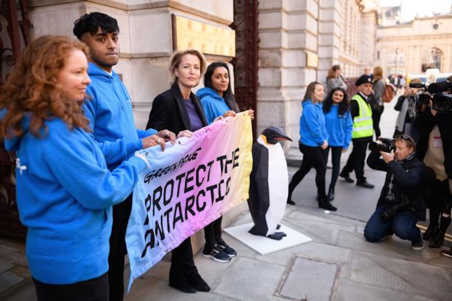 Gillian Anderson sostiene una petizione di Greenpeace per l'Oceano Antartico Getty Images