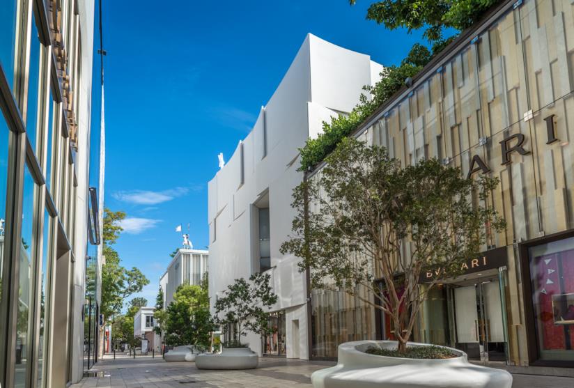 America Latina, ecco il primo quartiere realizzato con la stampa 3D. Edifici ed alberi.