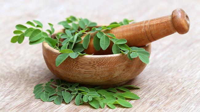 Moringa: tutto quello che c'è da sapere sugli usi e gli effetti benefici Moringa
