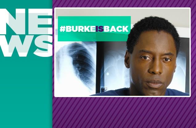Il Dr. Burke di nuovo in corsia