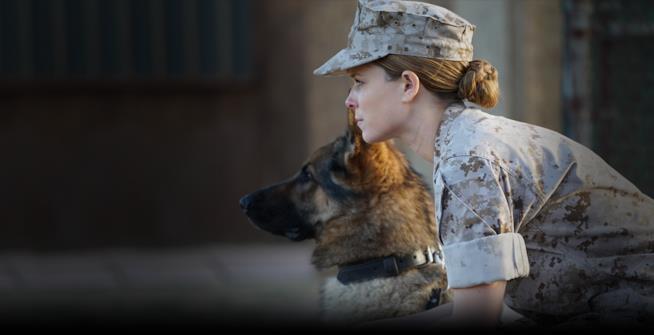 Kate Mara è la marine Megan Leavey nel biopic omonimo Kate Mara in un'immagine del film su Megan Leavey