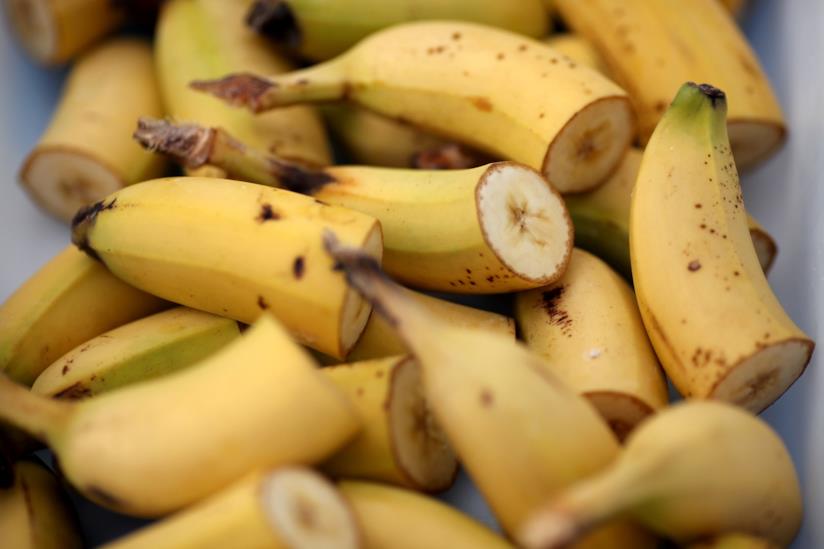 Le banane rischiano di sparire: già nel '50 si era dovuto assistere ad una pandemia simile simile. Banane
