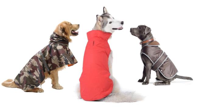 I migliori capotti Impermeabili e catarifrangenti per cani La TOP10 dei cappotti anti pioggia per cani