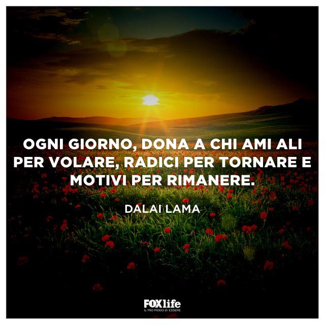 Proverbio del Dalai Lama Prato in fiore