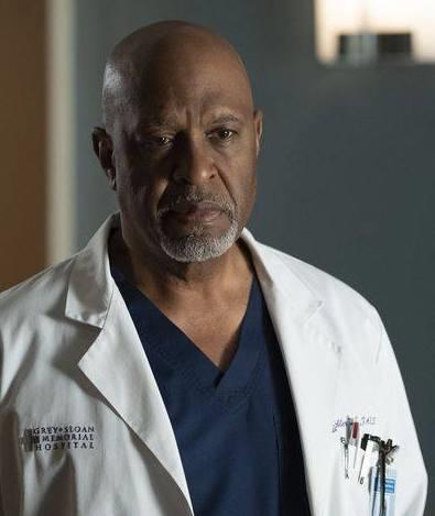 Richard Webber Richard Webber in Grey's Anatomy 15