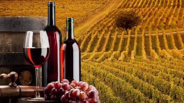 Cantine Aperte 2018