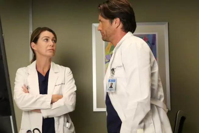 Debbie Allen anticipa alcuni dettagli sul futuro di Meredith e Nathan in Grey's Anatomy 14 Ellen Pompeo e Martin Henderson in una scena di Grey's Anatomy