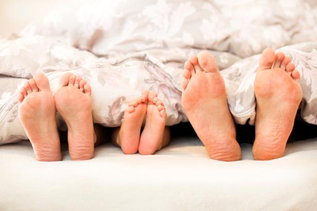 Tutto quello che c’è da sapere sul co-sleeping Mamma, papà e neonato sotto le coperte