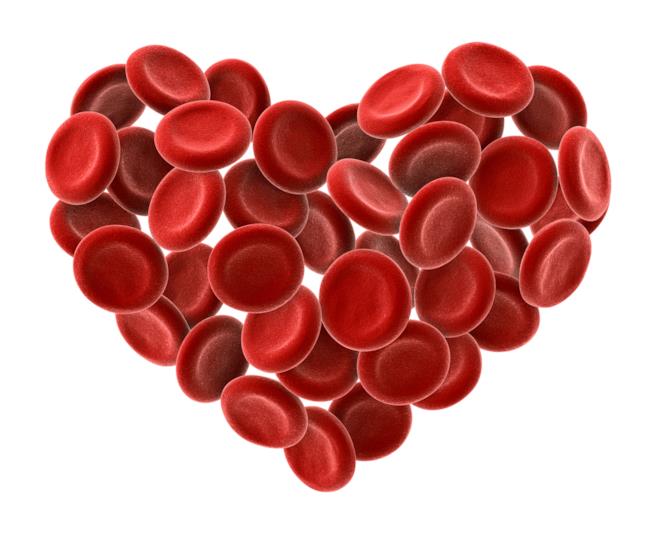 Un cuore rosso simbolo della donazione sangue Un cuore formato da cellule del sangue