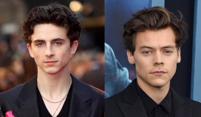 Timothée Chalamet e Harry Styles L'attore Timothée Chalamet e il cantante Harry Styles