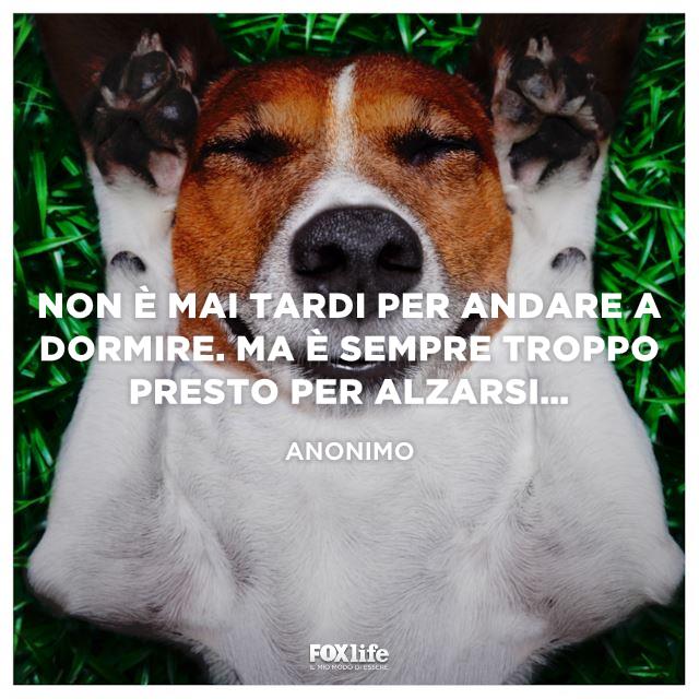 Immagine divertente per augurare buona notte Immagine divertente per augurare buonanotte