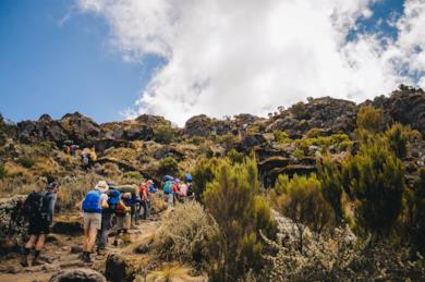 Tour di trekking sul Kilimangiaro in Tanzania lungo la Lemosho Route