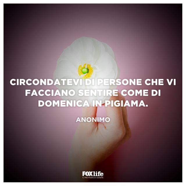 La domenica va vissuta in tranquillità Mano tiene un fiore