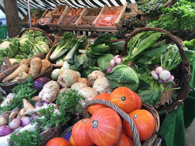 Verdure di stagione ad agosto: le proprietà di bietole, cicoria e aglio Verdure di stagione ad agosto