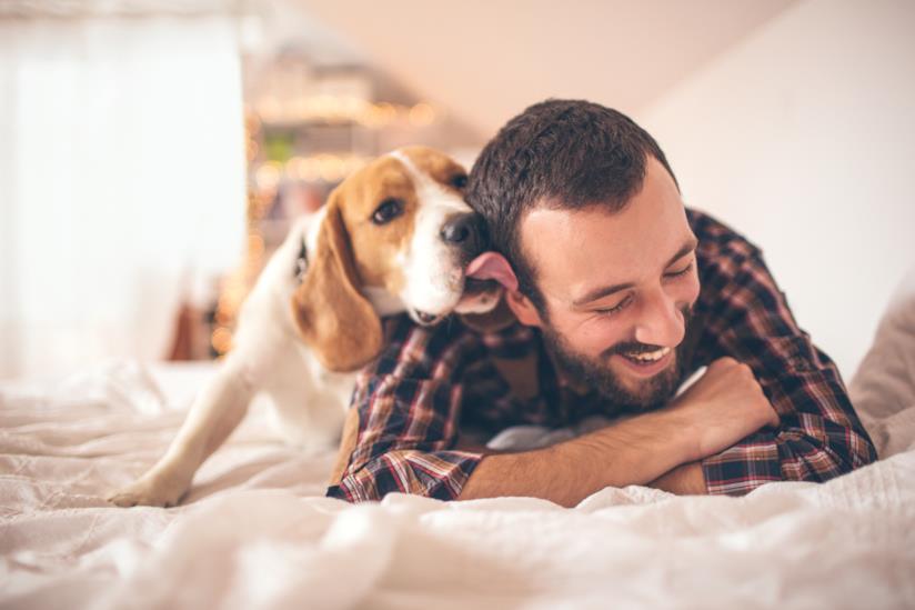 Il 26 agosto si festeggia la giornata mondiale del cane Cane e padrone felici