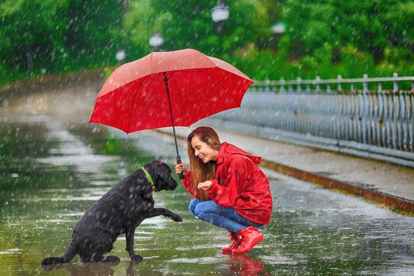 Le regole da rispettare per portare i cani in città Ragazza accucciata con il proprio cane sotto la pioggia