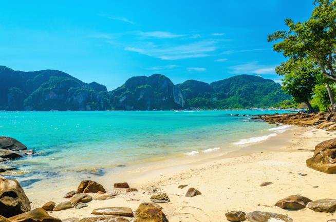 Una spiaggia della Martinica Una spiaggia della Martinica