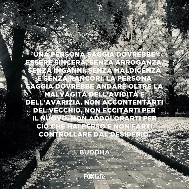 Persona saggia Parco in primavera