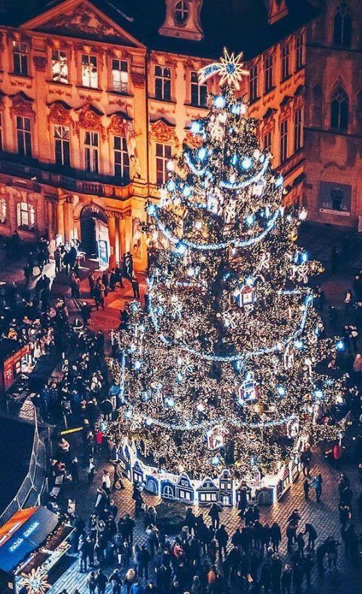 Albero di Natale di Praga Albero natalizio a Praga