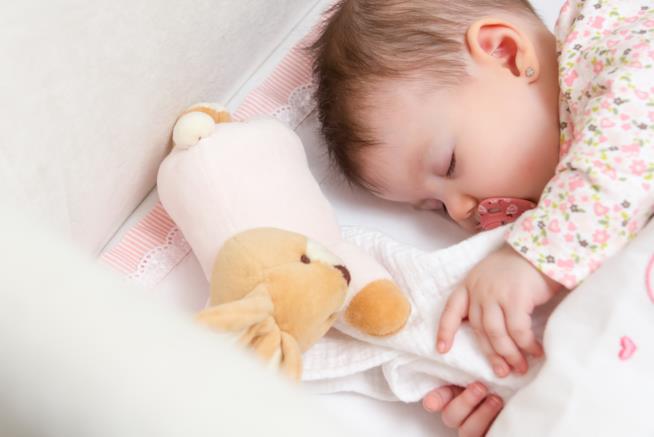 Che cos’è e come si usa il Doudou, l’oggetto transizionale per gestire separazioni e nanna Neonato dorme con un Doudou
