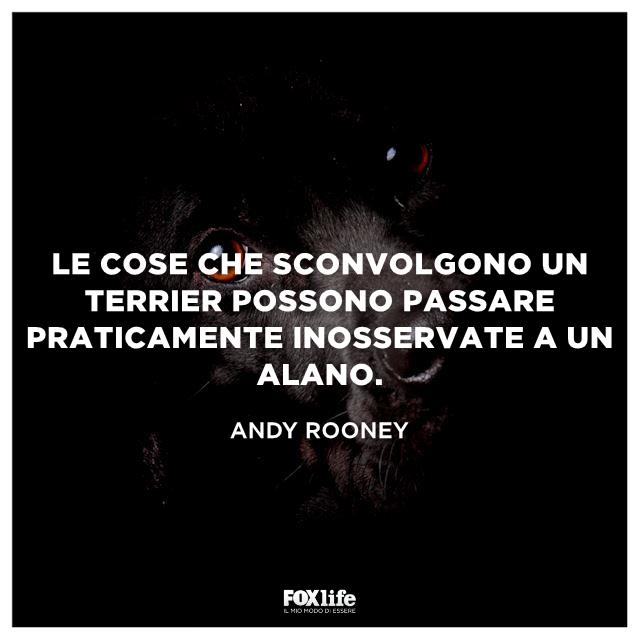 Frase Andy Muso di un cane