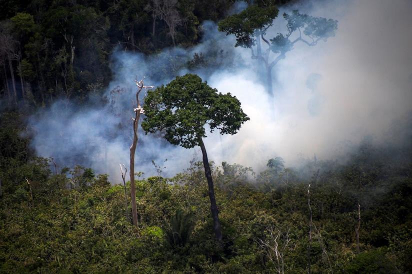 Amazzonia Foresta amazzonica