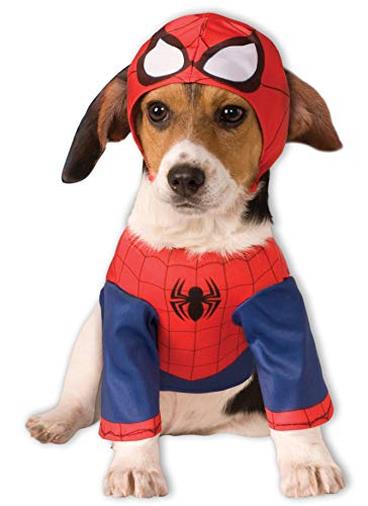 Costume Spiderman Dog