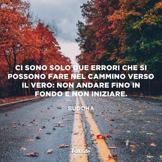 Bisogna andare fino in fondo alle cose Strada ricoperta di foglie