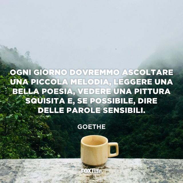 Citazione Goethe Tazza posata su un davanzale affacciato sulla montagna