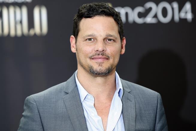 Justin Chambers ha pareri contrastanti in merito a Grey's Anatomy Justin Chambers al Monaco Festival