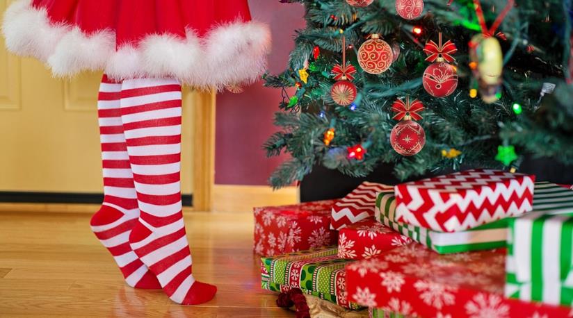 Una guida alla scelta dell'albero di Natale confrontando gli esemplari più belli al mondo Una guida per scegliere l'albero di Natale confrontando modelli e tipologie diverse