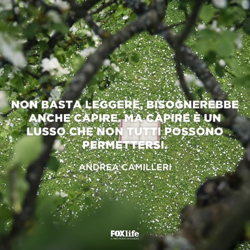 Frase sul leggere e capire Libro aperto in un prato