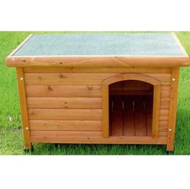 Canile Shelter