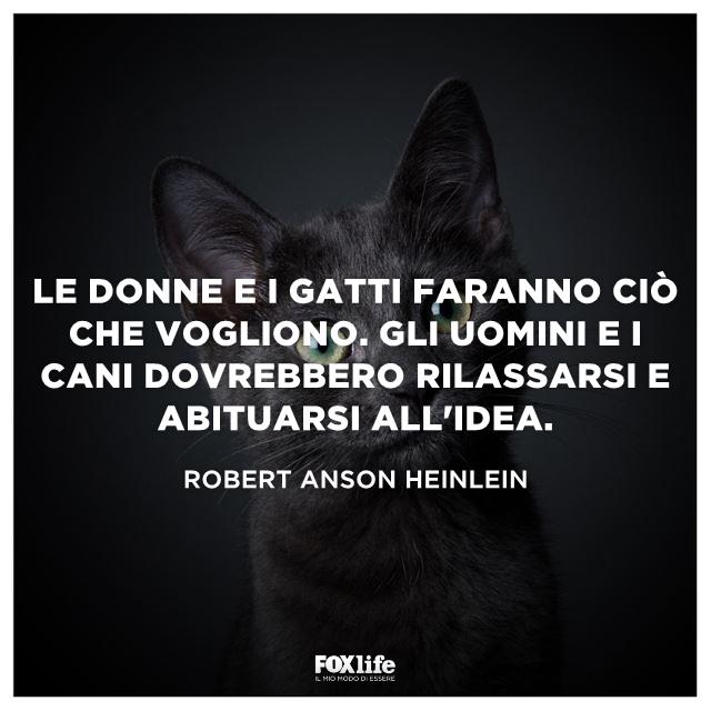 Frase Anson Gatto nero che guarda curioso a destra