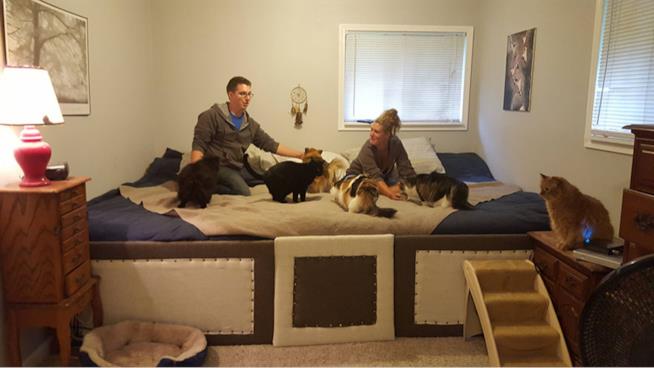 La coppia sul mega letto con i 7 animali domestici I sette animali e i padroni sul mega letto