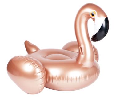 Boa gigante / Fenicottero rosa