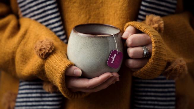 Tisane Pukka Le migliori tisane Pukka per detox