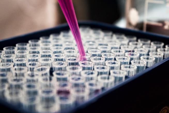 Provette Provette per ricerca scientifica