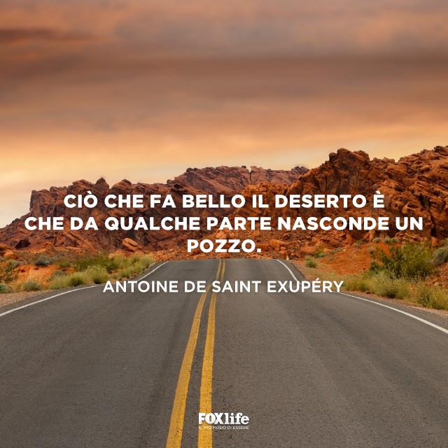 Frase bellezza deserto Strada nel deserto